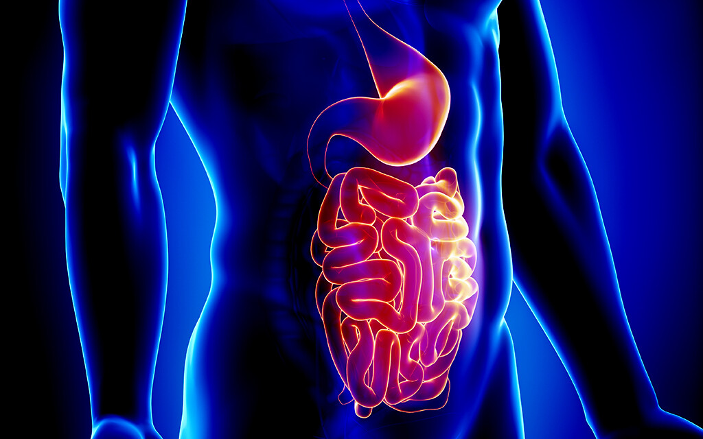 MagenDarmTrakt wie RheumaErkrankungen darauf wirken.