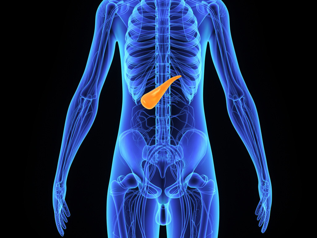 Moderne Pankreatologie: Bauchspeicheldrüsen-Erkrankungen im Fokus. © sciencepics / shutterstock.com