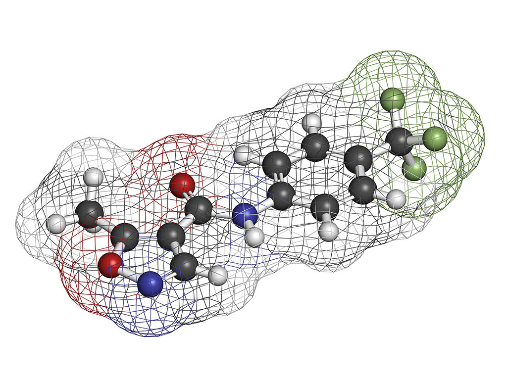 Молекулы химических элементов. Клетка молекула атом. Клетка из атома. Молекула клетка ткань орган. Человек состоит из атомов.