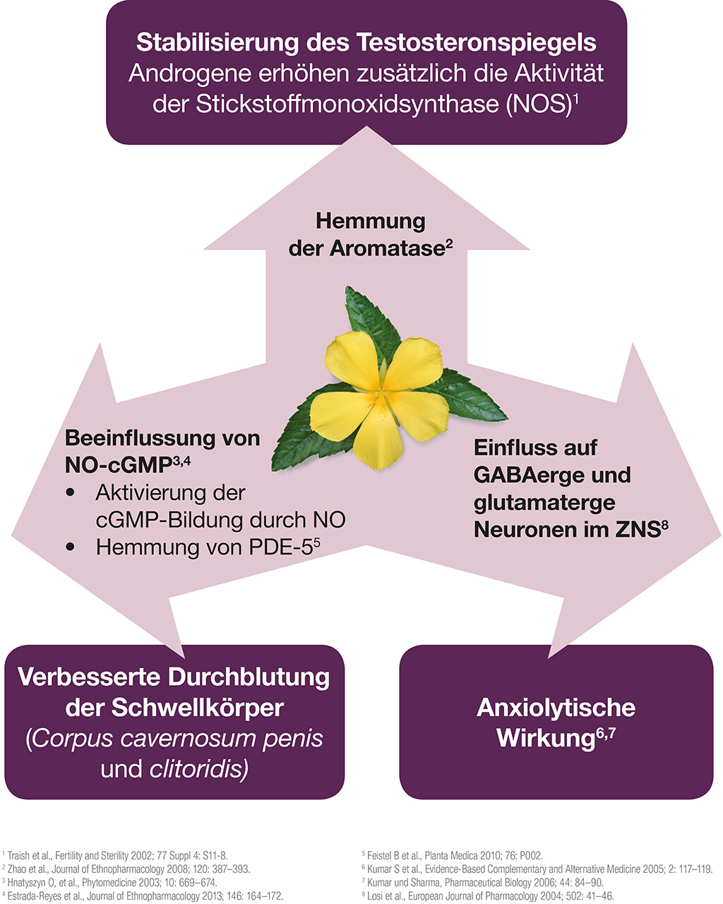 Die aphrodisierende Wirkung von Damiana zur Luststeigerung