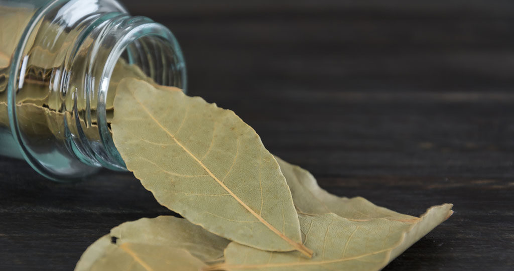 Lorbeerblatter Aus Dem Gewurzschrank Auch Fur Die Hausapotheke