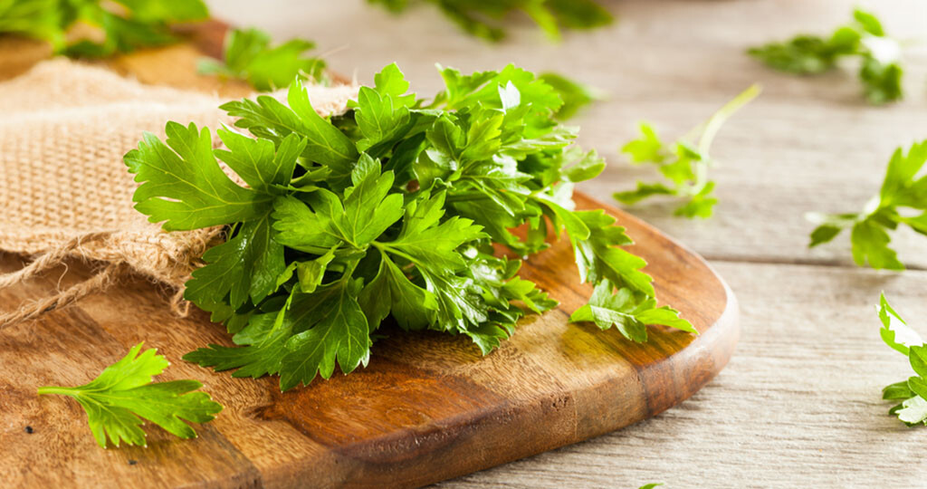 Die Petersilie Das Suppenkraut Enthalt Viele Vitamine Und Mineralstoffe